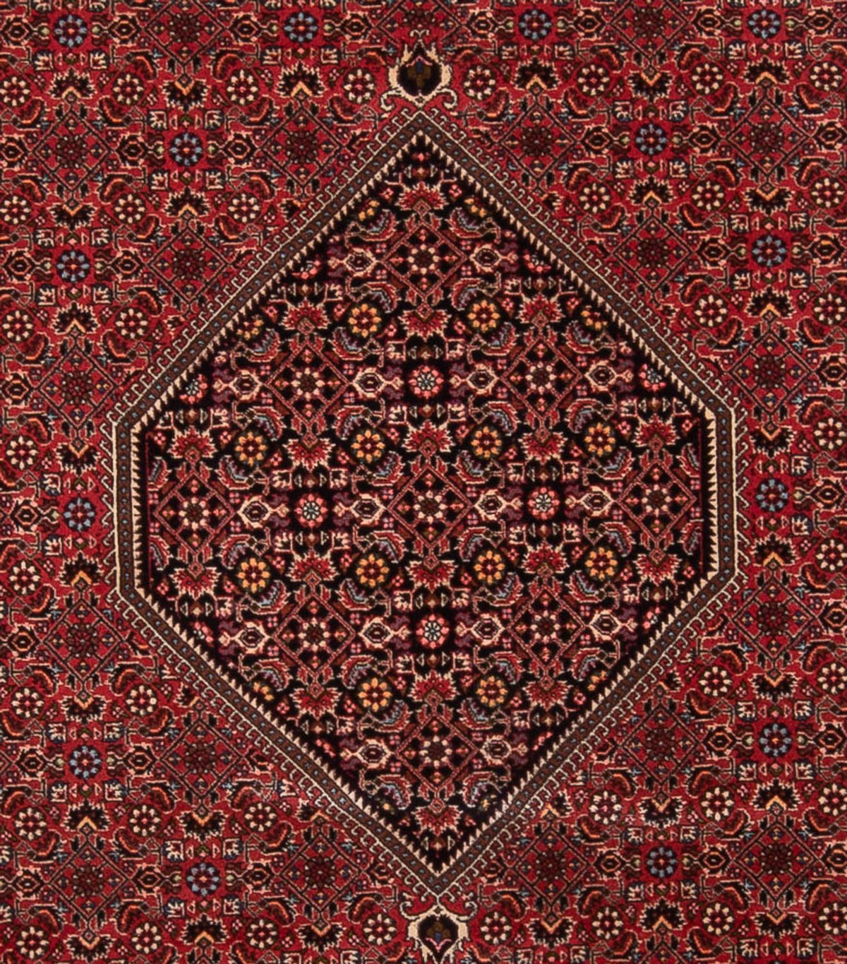 Perzisch tapijt - Bijar - Koninklijk - 347 x 247 cm - rood