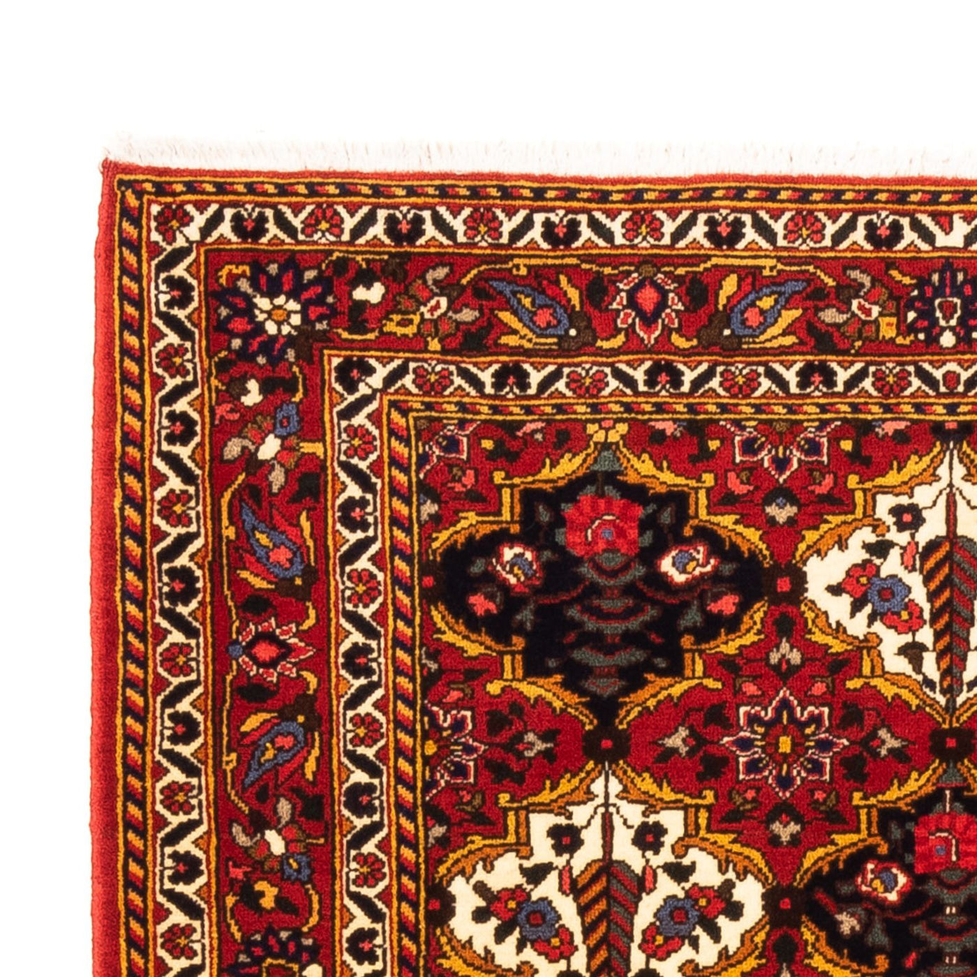 Bakhtiari Tapijt 159x110cm - Perzisch tapijt