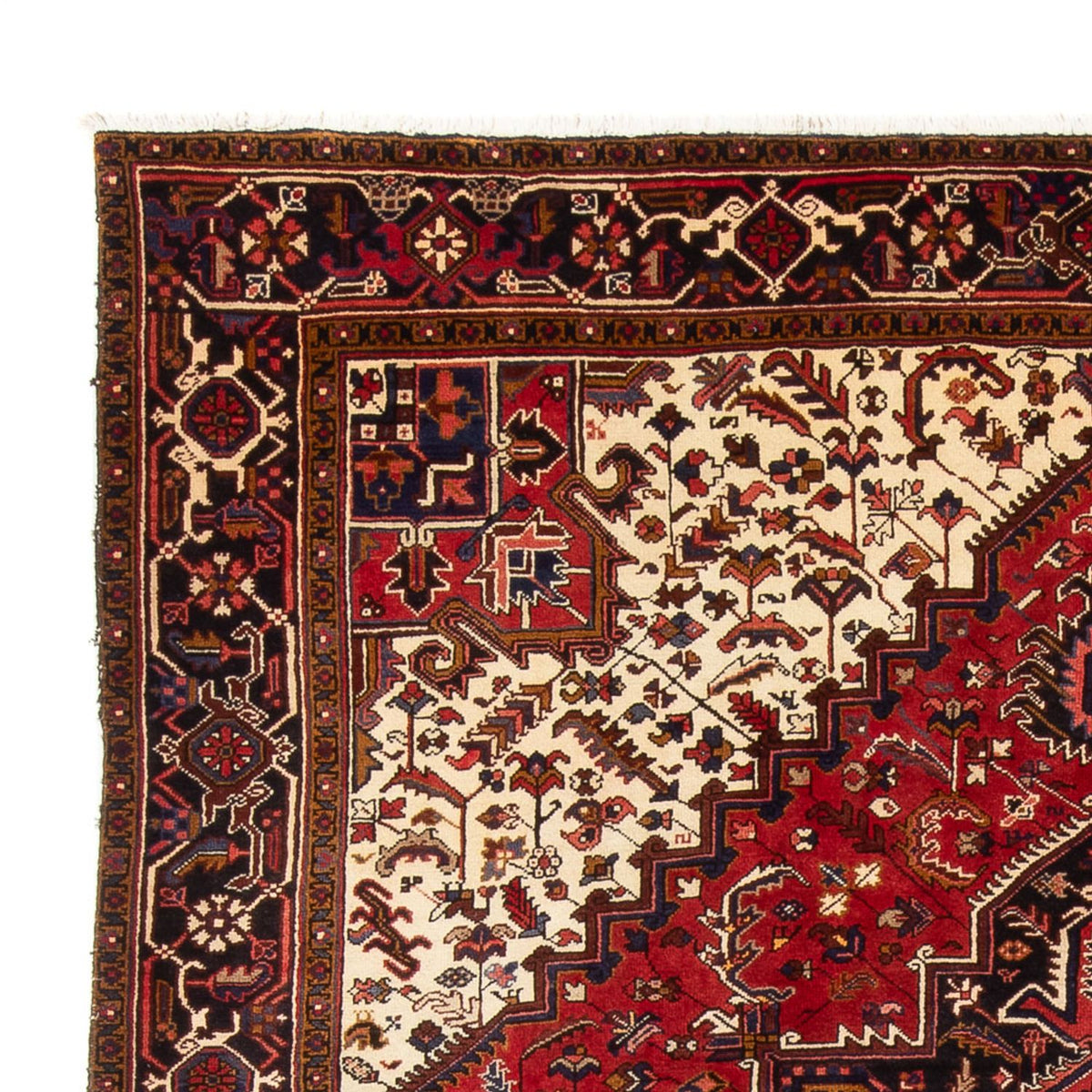 Perzisch Tapijt - Nomadisch - 339 x 243 cm - crème