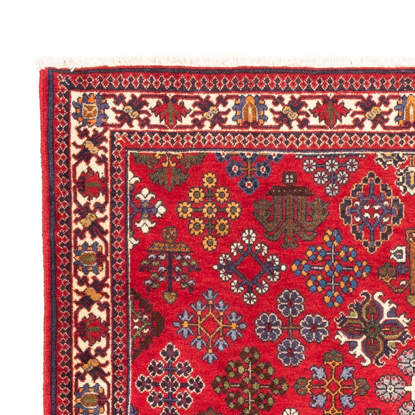 Meymeh Tapijt 168x110cm - Perzisch tapijt