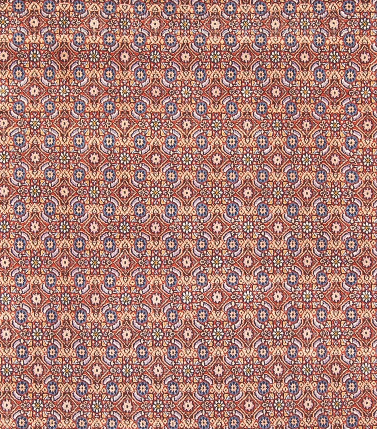 Perzisch tapijt - Klassiek - 294 x 243 cm - donkerblauw