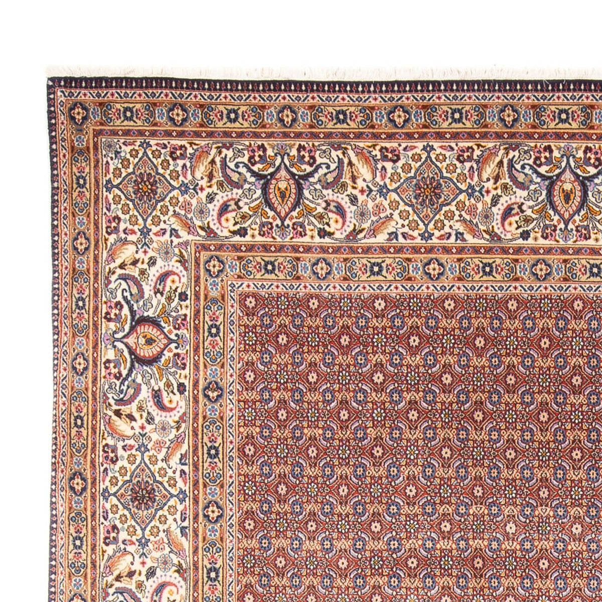 Moud Tapijt 243x294cm - Perzisch tapijt