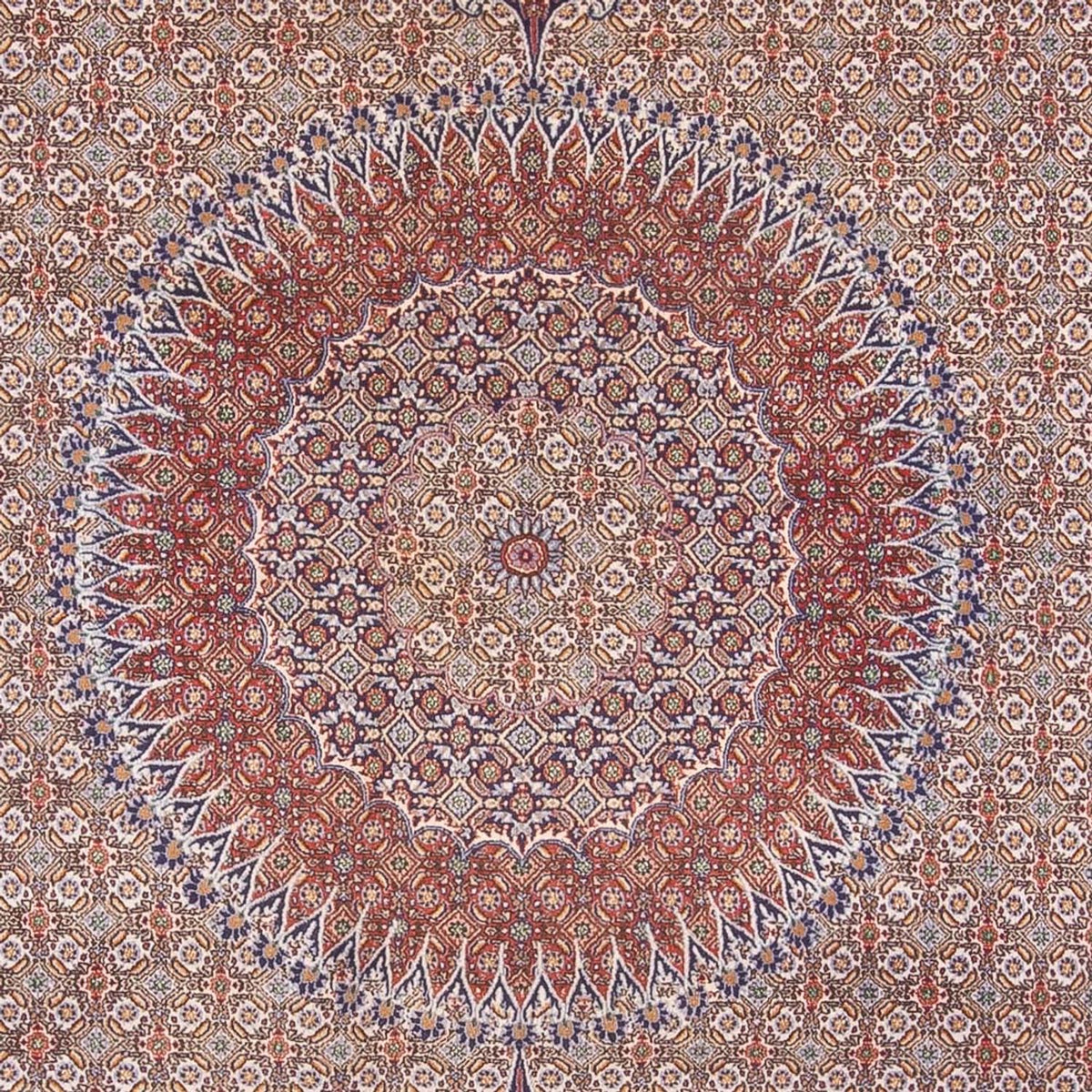 Perzisch tapijt - Klassiek - 388 x 293 cm - donker beige