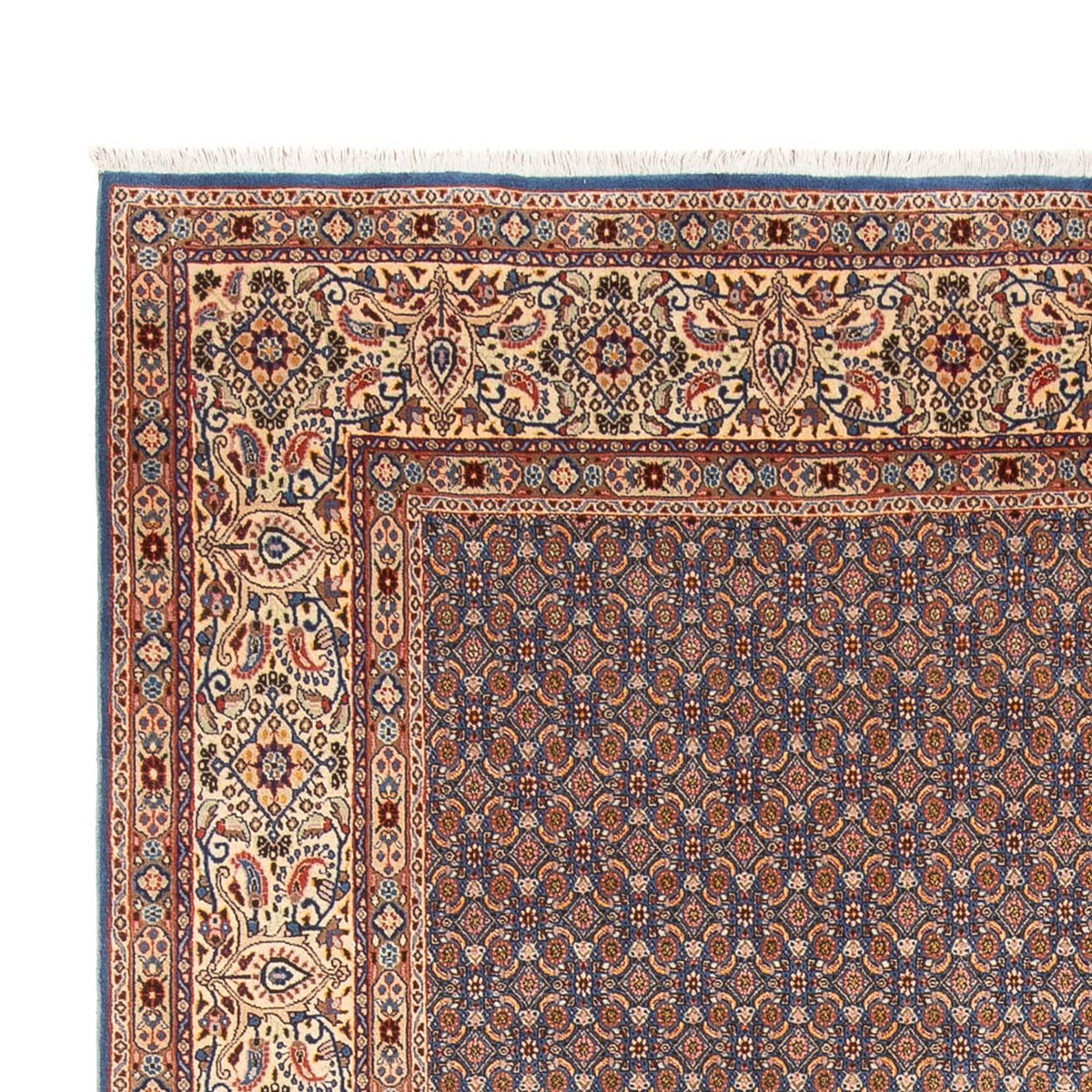 Moud Tapijt 242x340cm - Perzisch tapijt