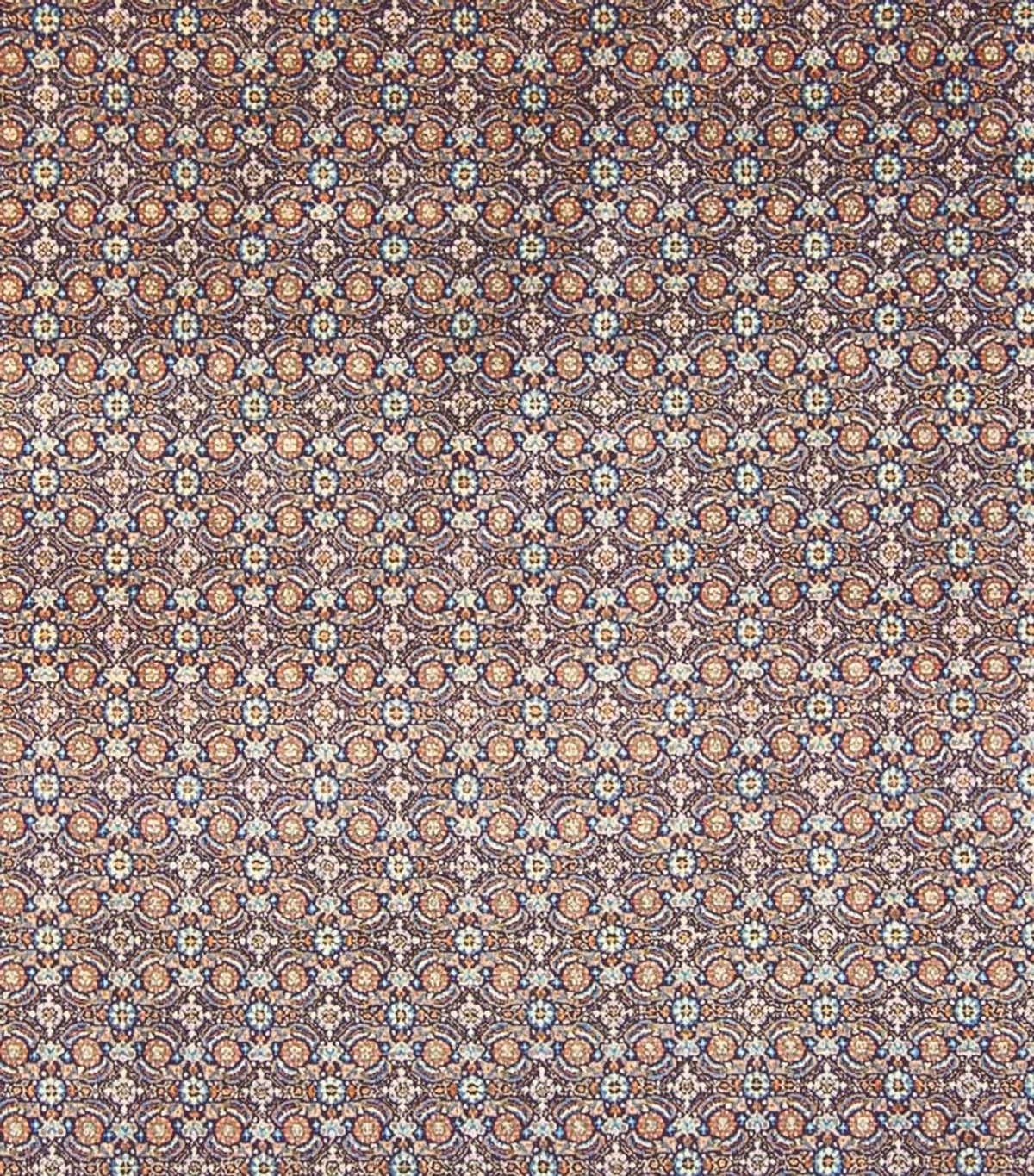 Perzisch tapijt - Klassiek - 343 x 248 cm - donkerblauw