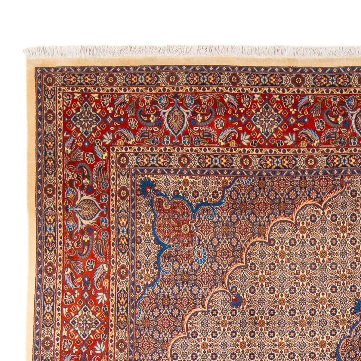 Moud Tapijt 252x360cm - Perzisch tapijt
