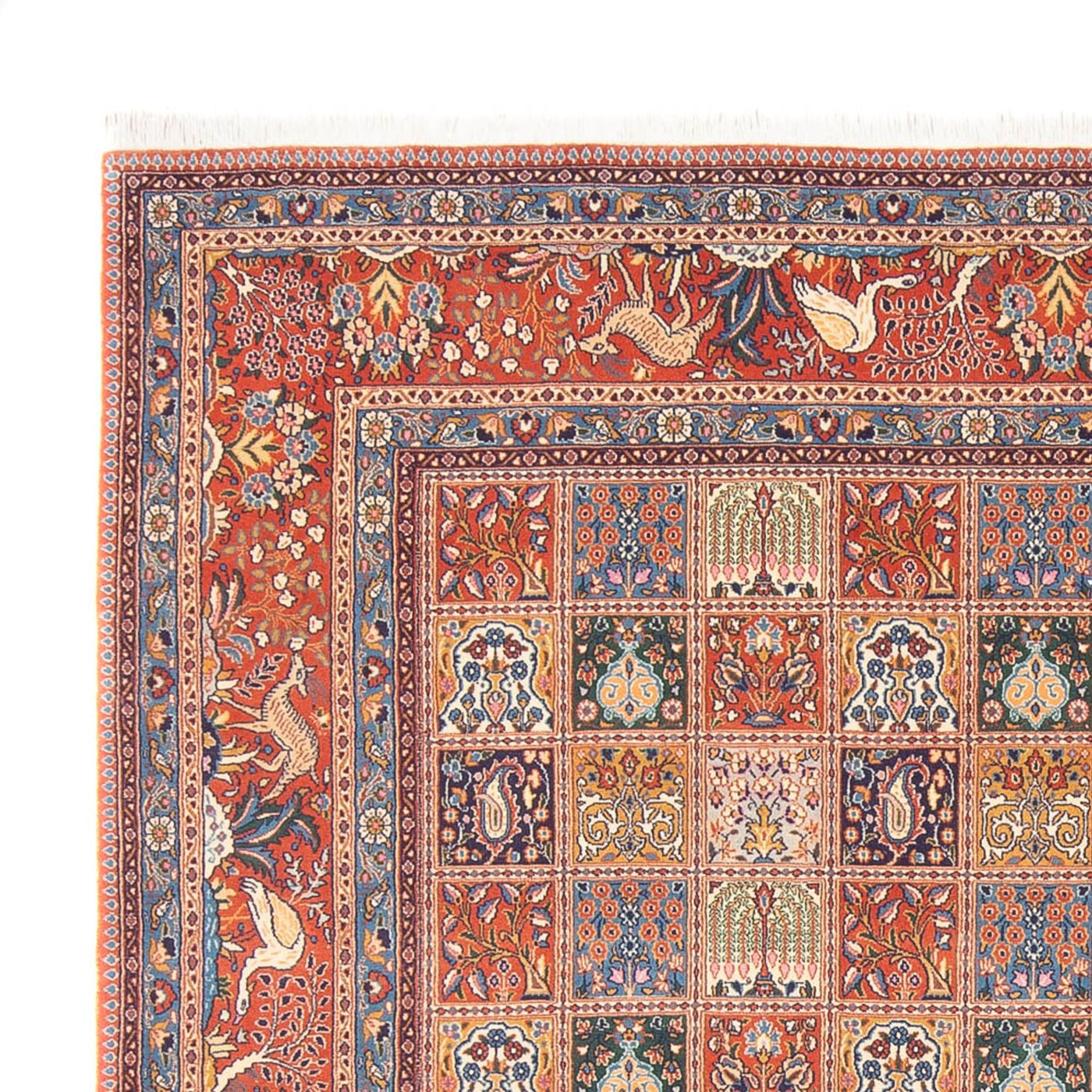 Moud Tapijt 262x250cm - Perzisch tapijt