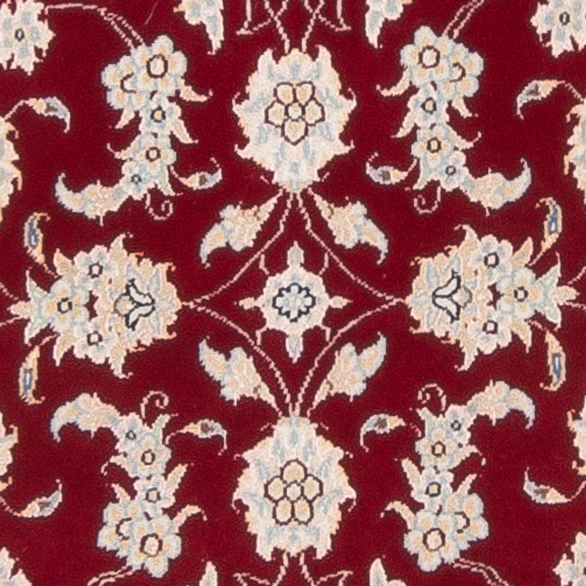 Loper Perzisch tapijt - Nain - Premium - 249 x 81 cm - rood