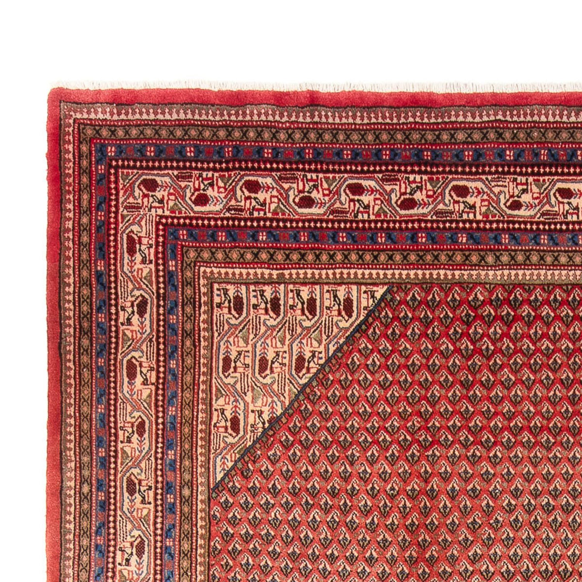 Sarouk Tapijt 258x365cm - Perzisch tapijt