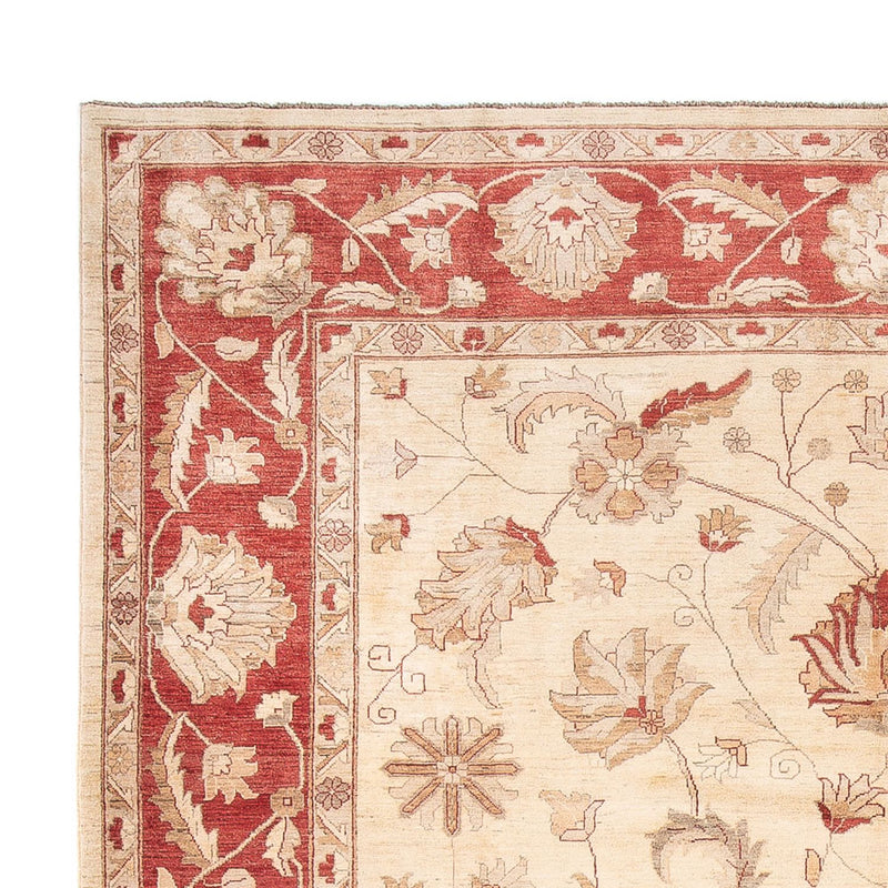 Ziegler tapijt - 455 x 308 cm - crème