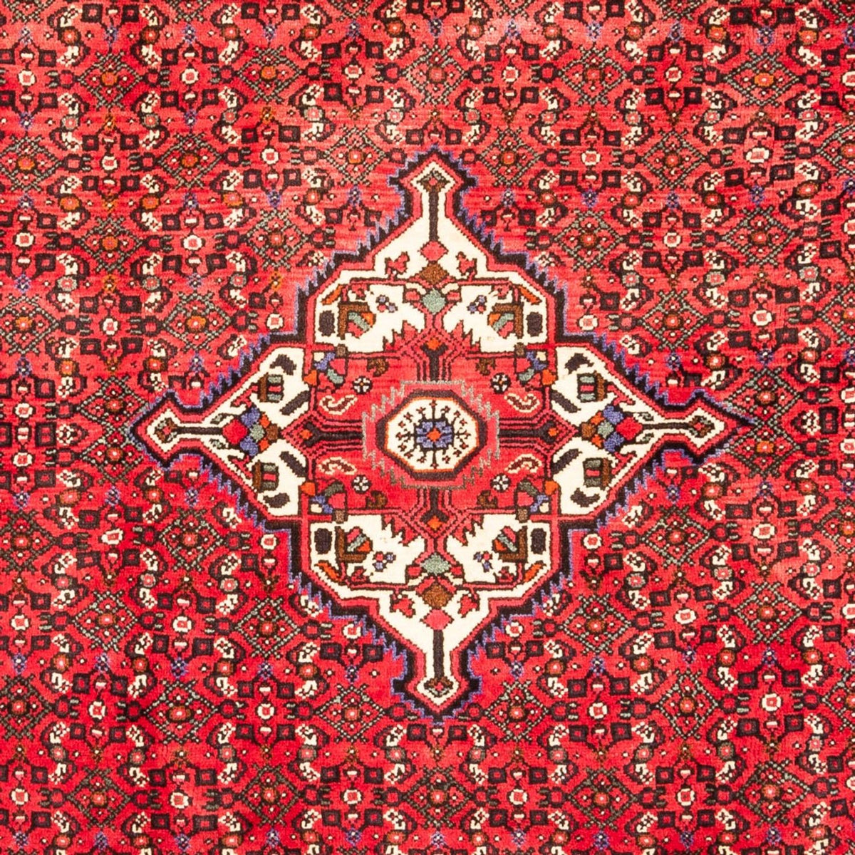 Perzisch Tapijt - Nomadisch - 318 x 205 cm - rood