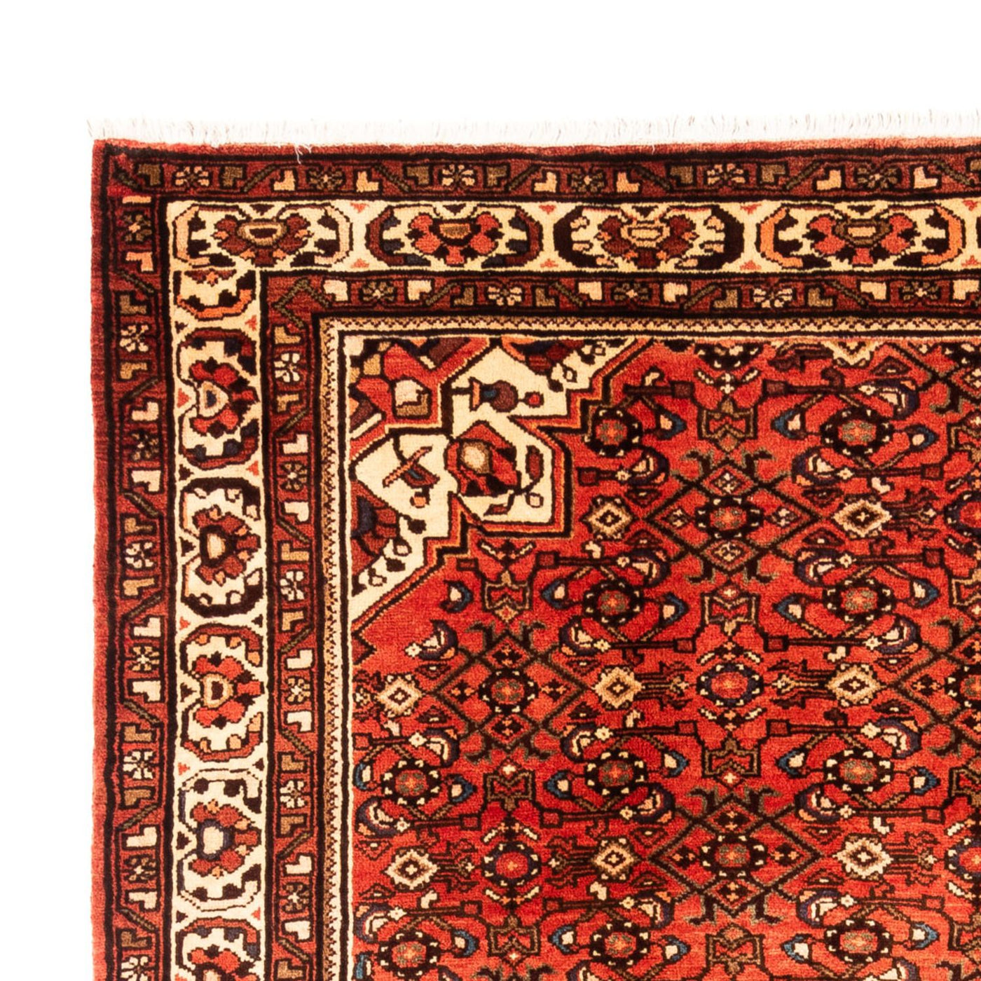 Kolyai Tapijt 297x202cm - Perzisch tapijt