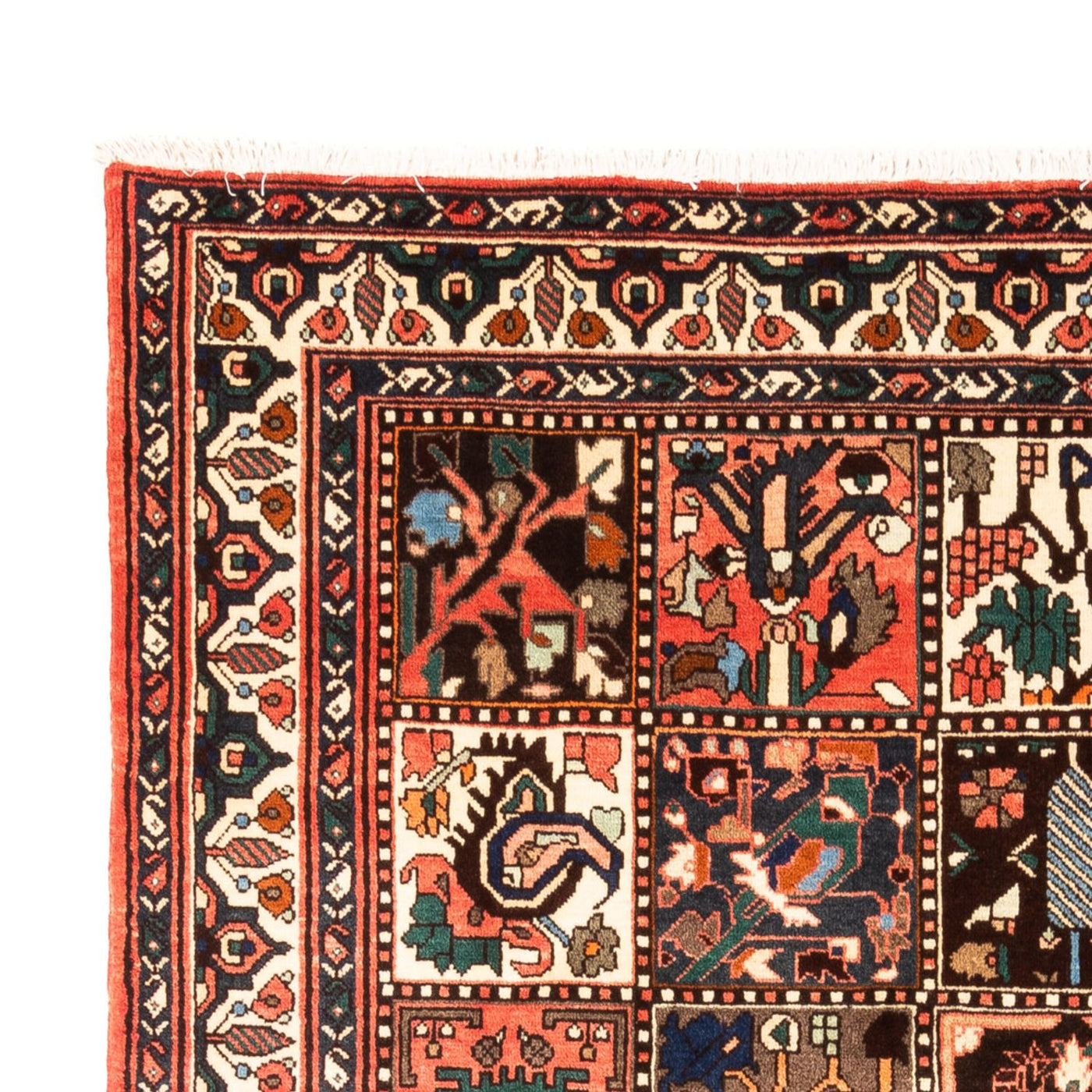 Bakhtiari Tapijt 300x205cm - Perzisch tapijt