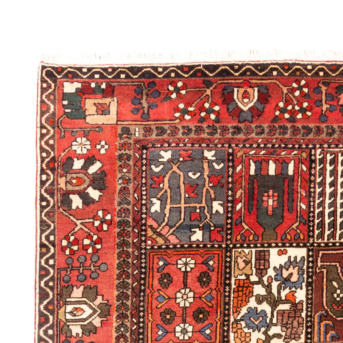 Perzisch Tapijt - Nomadisch - 314 x 207 cm - veelkleurig