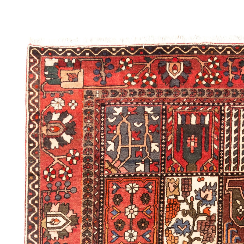 Perzisch Tapijt - Nomadisch - 314 x 207 cm - veelkleurig