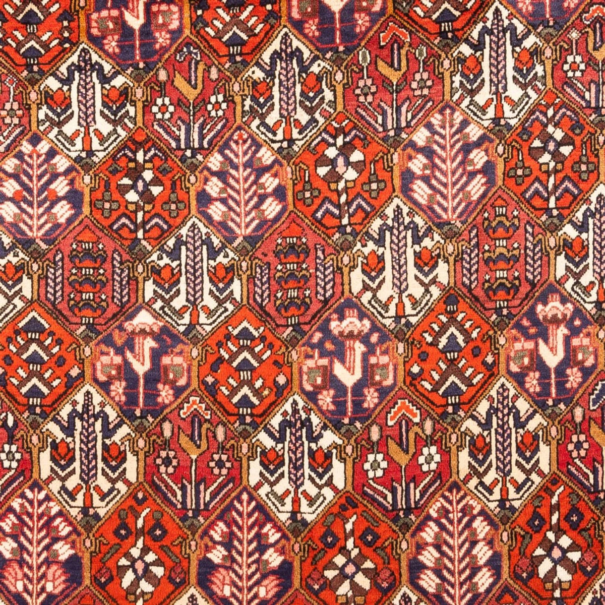 Perzisch Tapijt - Nomadisch - 310 x 210 cm - rood