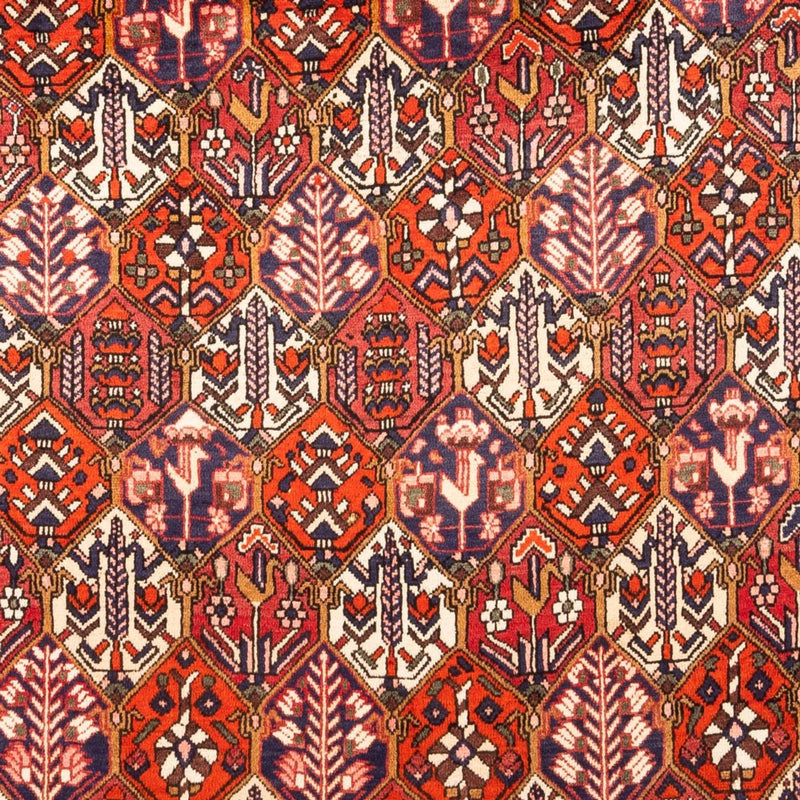 Perzisch Tapijt - Nomadisch - 310 x 210 cm - rood