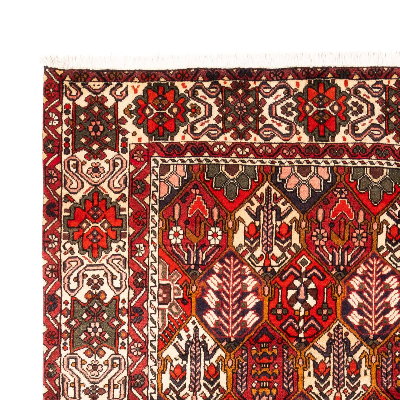 Bakhtiari Tapijt 310x210cm - Perzisch tapijt