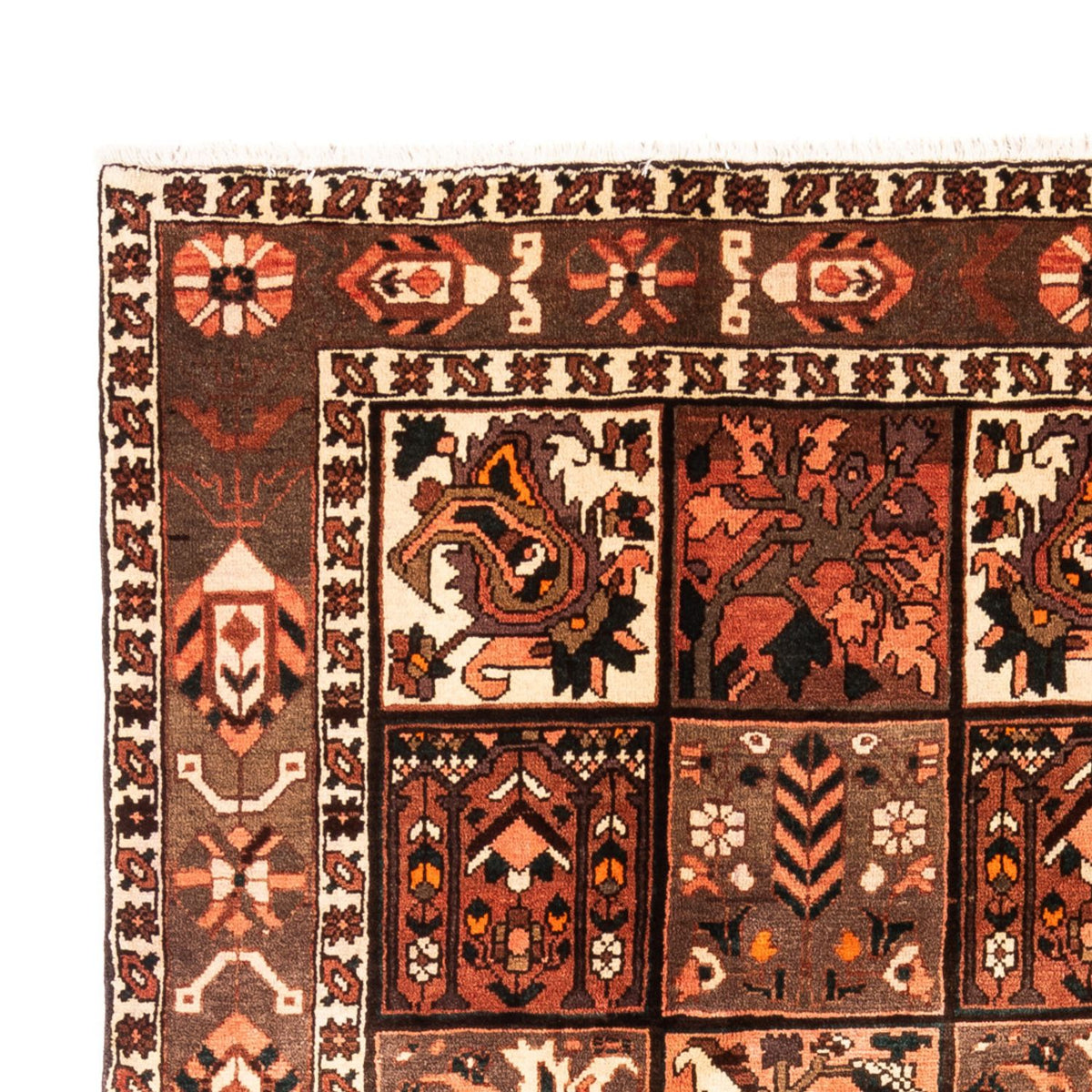 Perzisch Tapijt - Nomadisch - 307 x 206 cm - veelkleurig