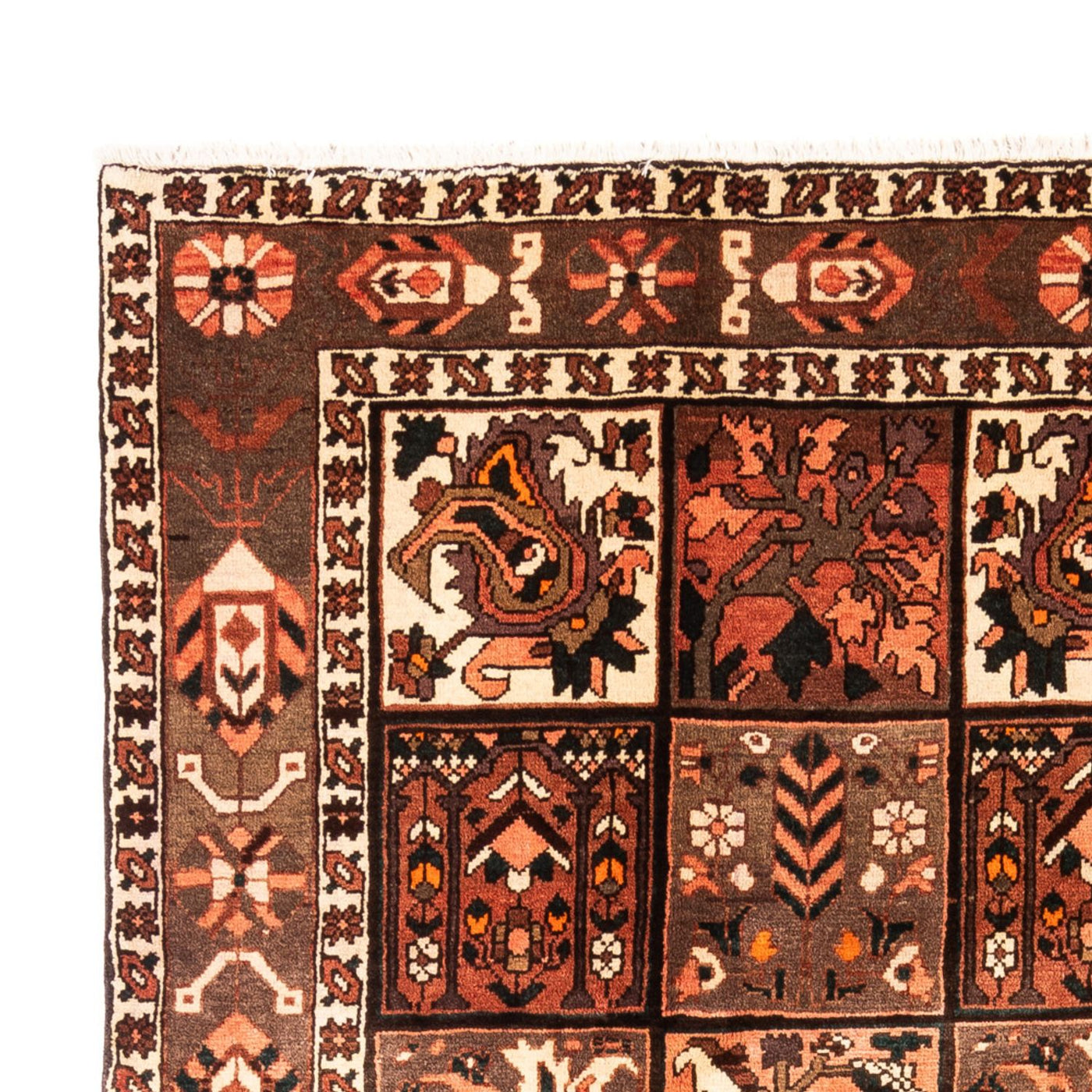 Bakhtiari Tapijt 307x206cm - Perzisch tapijt