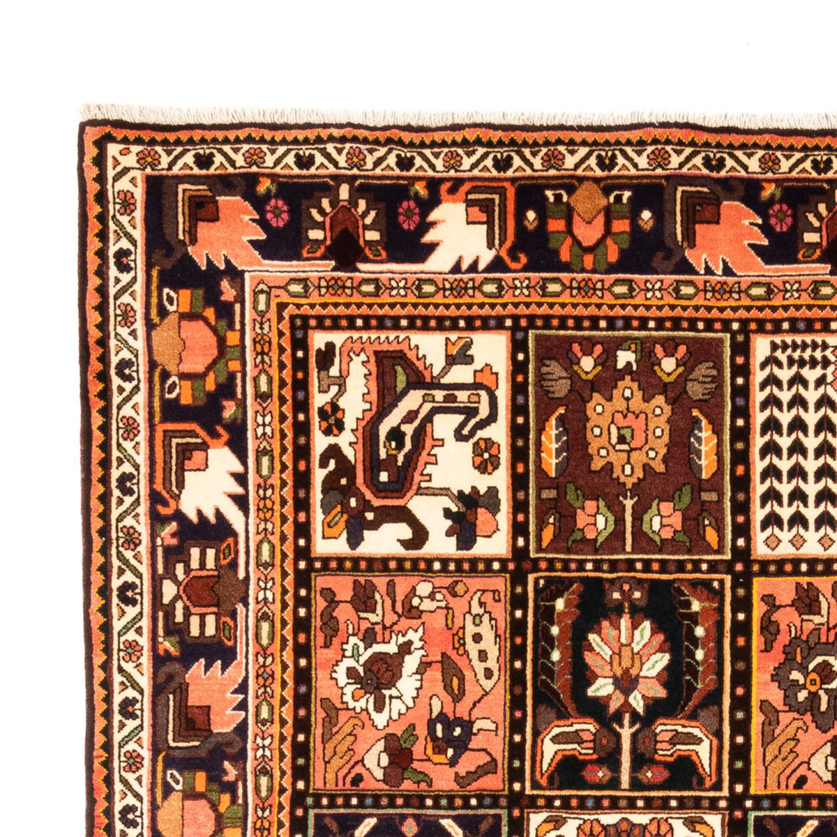 Perzisch Tapijt - Nomadisch - 317 x 212 cm - veelkleurig