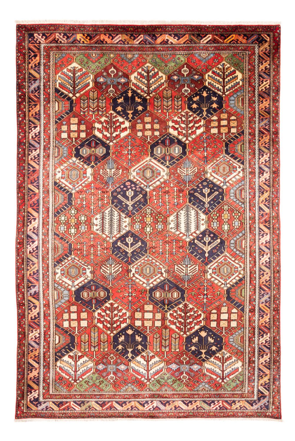 Gabbeh tapijt - Perzisch - 325 x 218 cm - veelkleurig