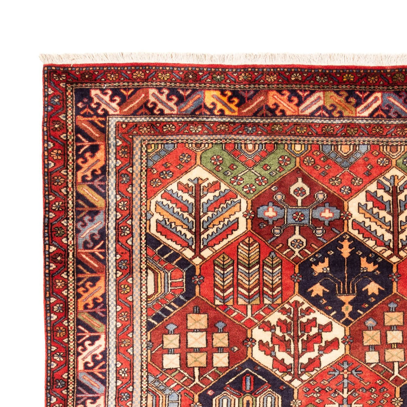 Perzische Gabbeh Tapijt 325x218cm - Perserteppich Wollteppich