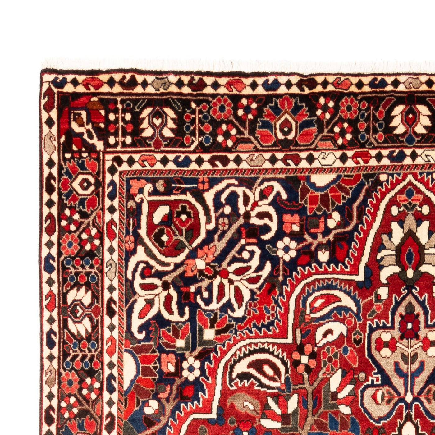 Bakhtiari Tapijt 315x207cm - Perzisch tapijt