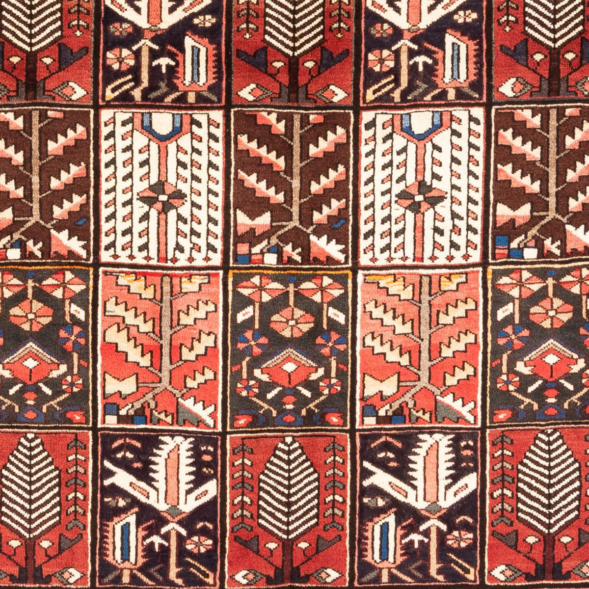 Perzisch Tapijt - Nomadisch - 290 x 200 cm - veelkleurig