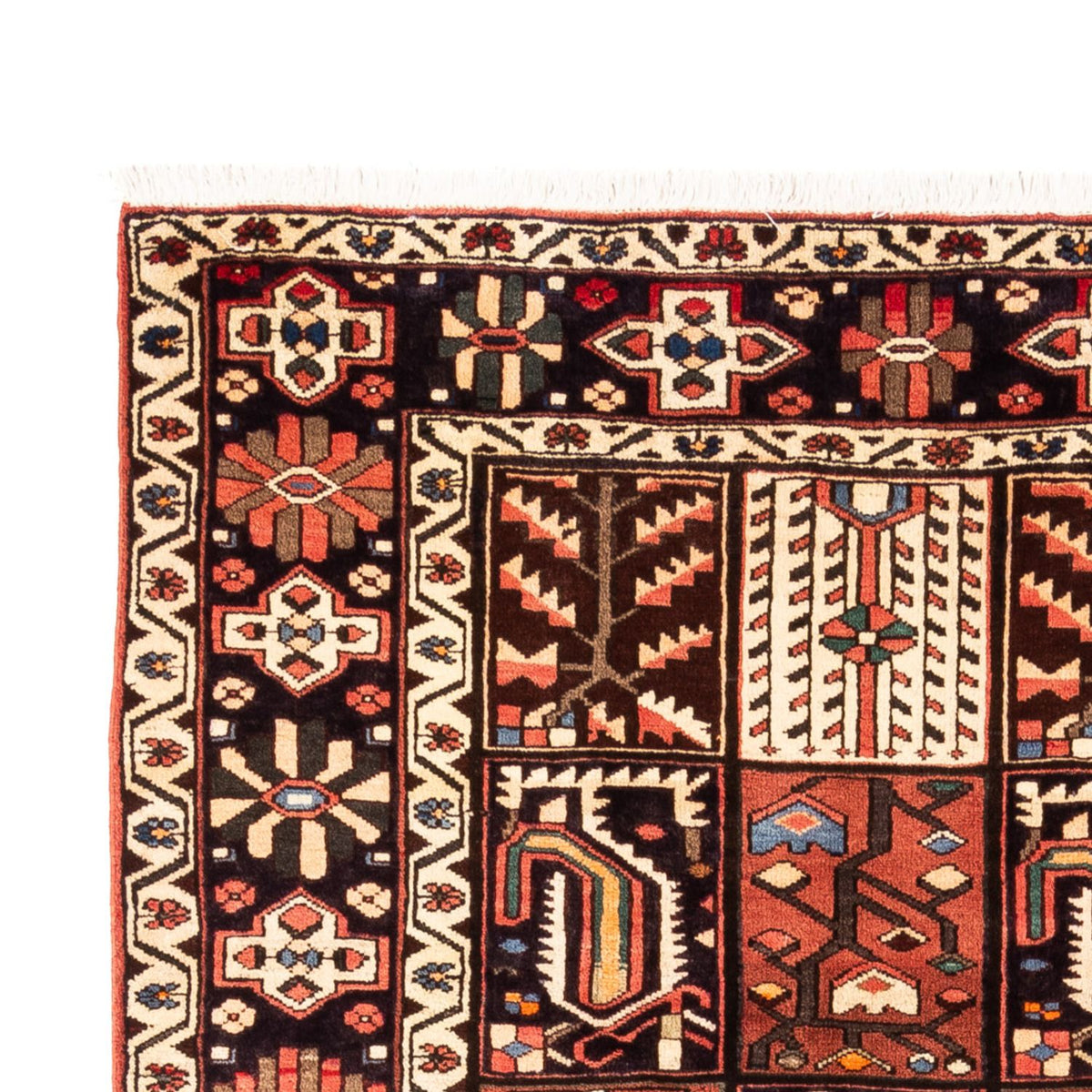 Perzisch Tapijt - Nomadisch - 290 x 200 cm - veelkleurig