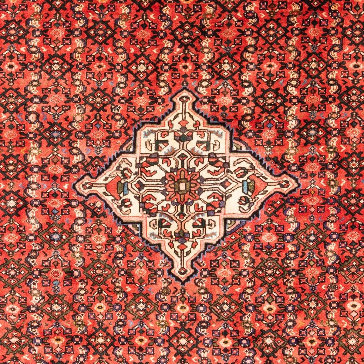 Perzisch Tapijt - Nomadisch - Koninklijke - 285 x 204 cm - veelkleurig