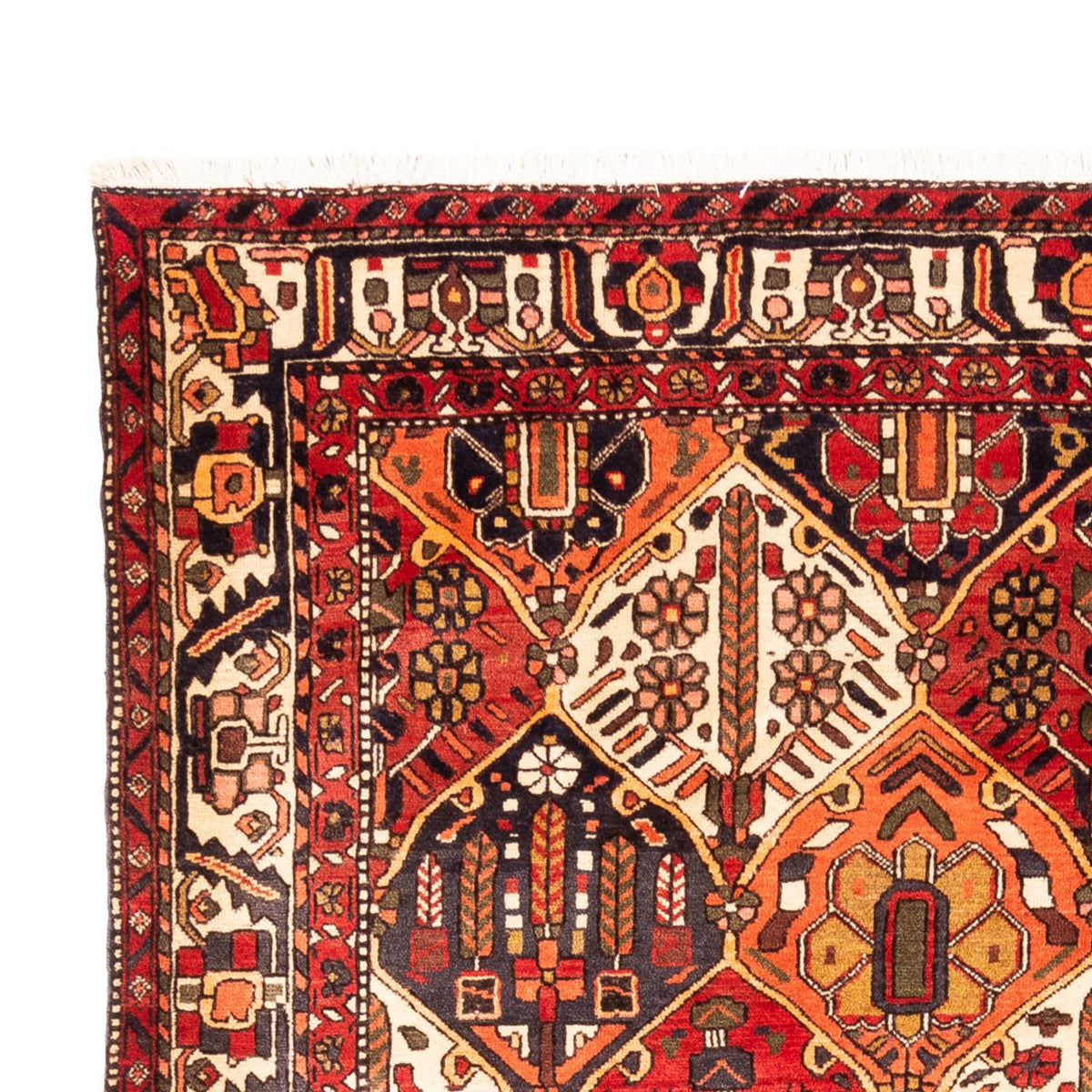 Perzisch Tapijt - Nomadisch - 303 x 218 cm - veelkleurig