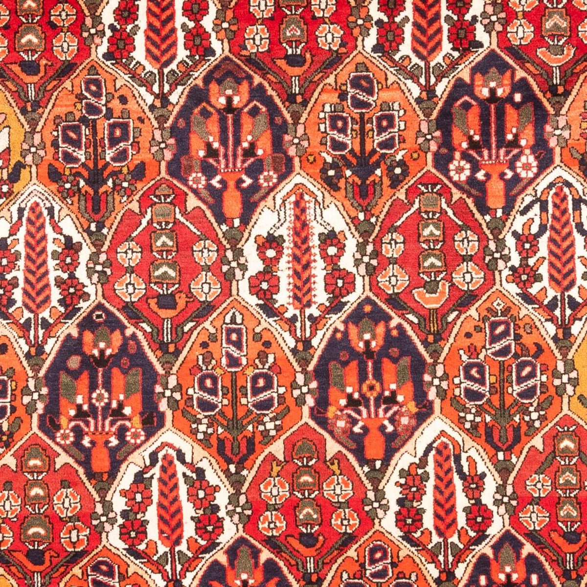 Perzisch Tapijt - Nomadisch - 300 x 220 cm - veelkleurig