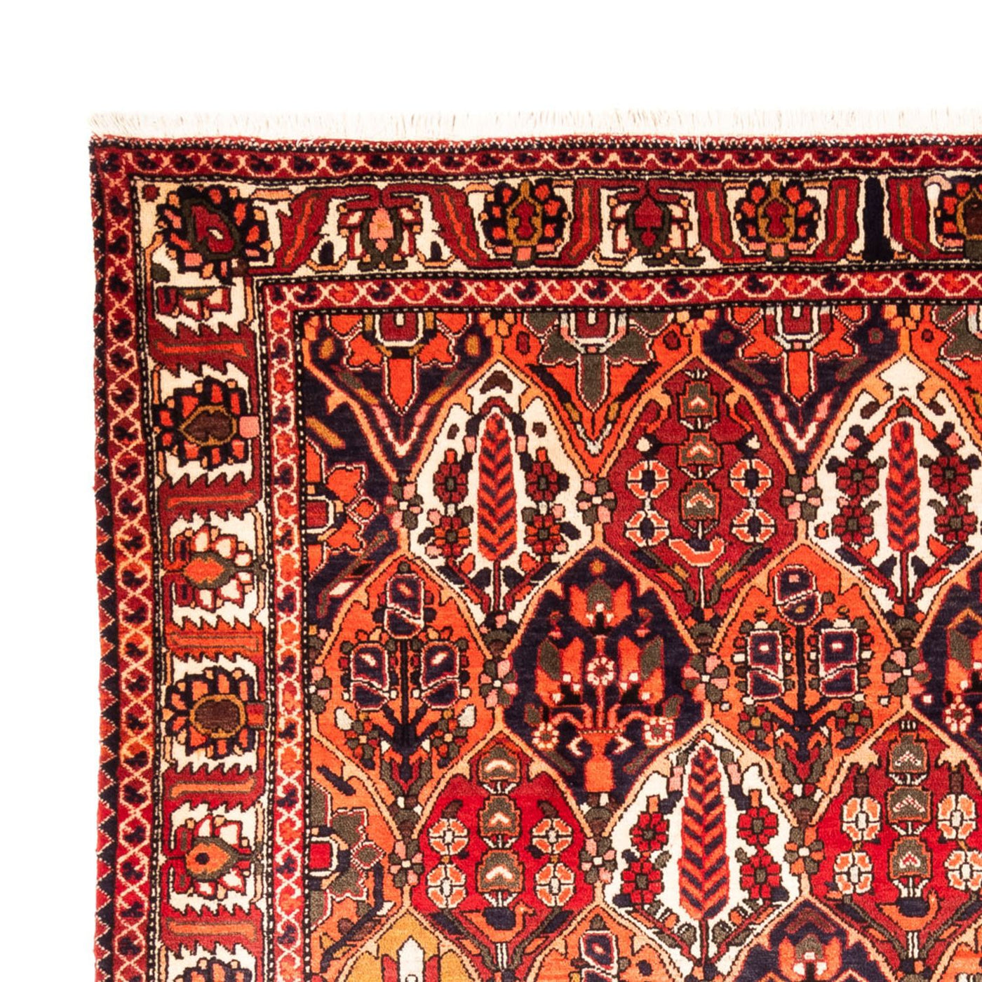 Bakhtiari Tapijt 300x220cm - Perzisch tapijt