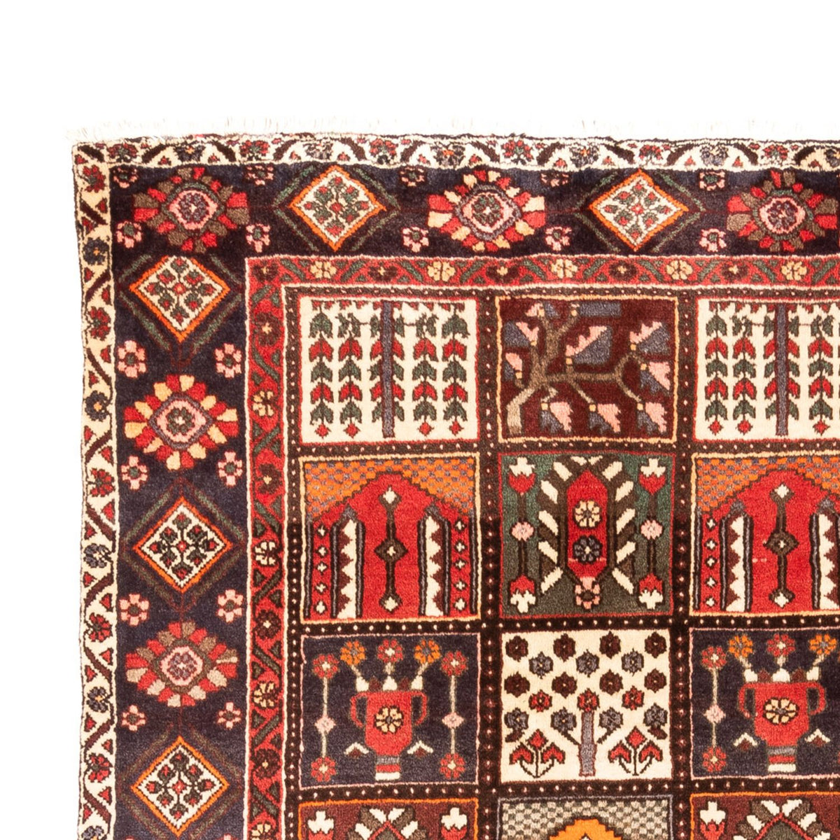 Perzisch Tapijt - Nomadisch - 305 x 208 cm - veelkleurig