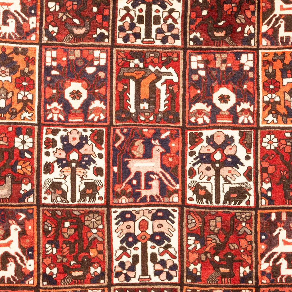 Perzisch Tapijt - Nomadisch - 307 x 205 cm - veelkleurig