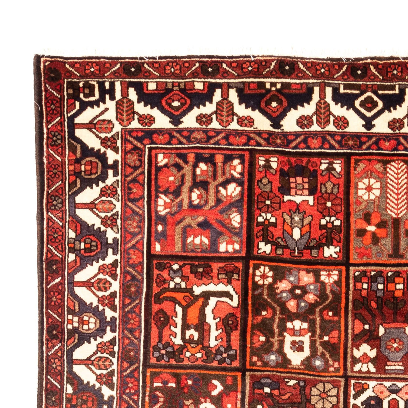 Bakhtiari Tapijt 307x205cm - Perzisch tapijt