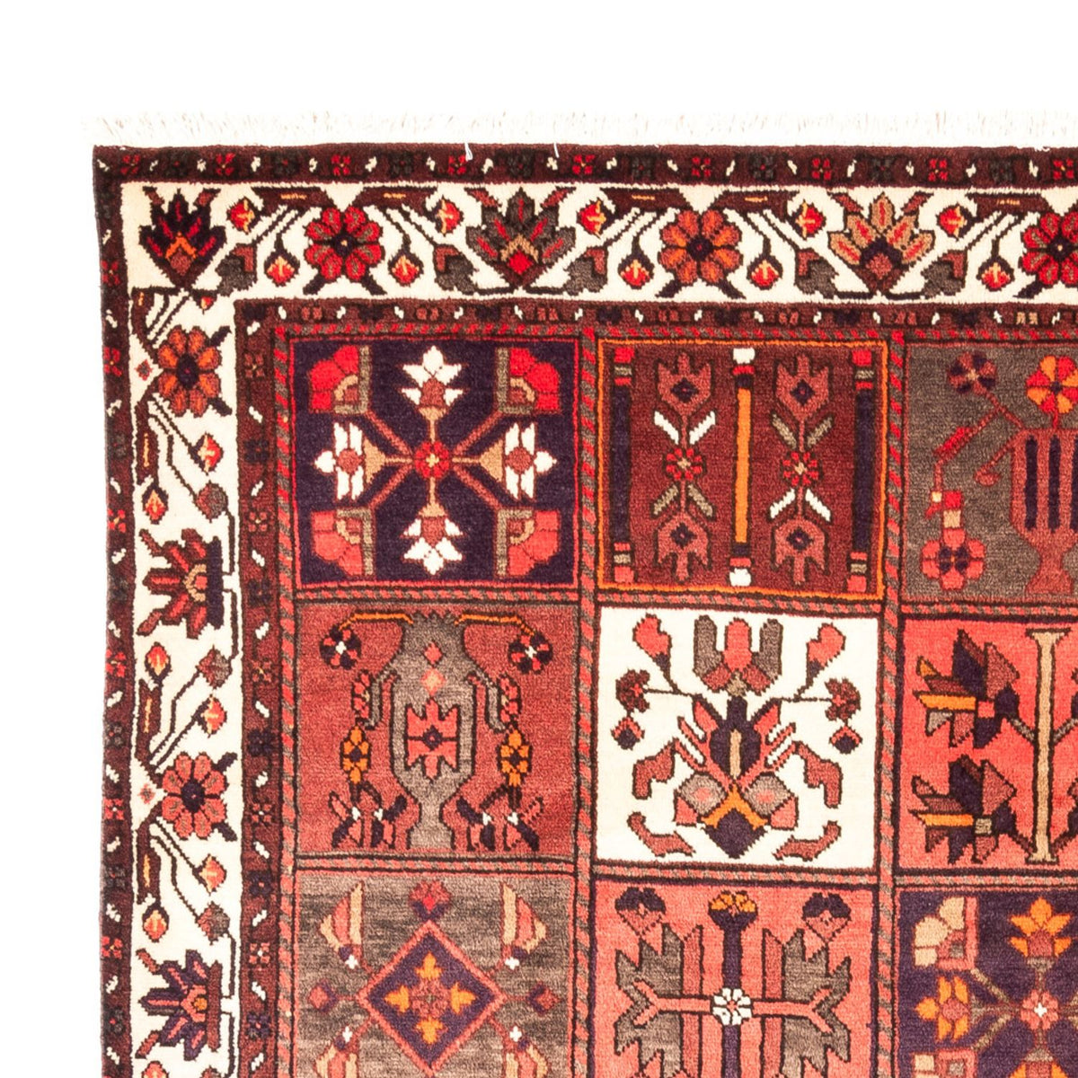 Perzisch Tapijt - Nomadisch - 294 x 210 cm - veelkleurig