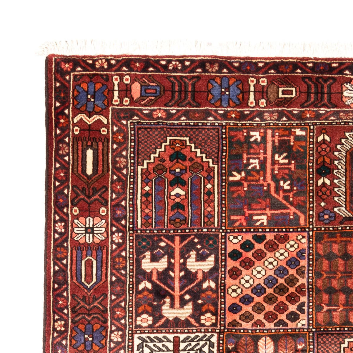 Bakhtiari Tapijt 310x208cm - Perzisch tapijt