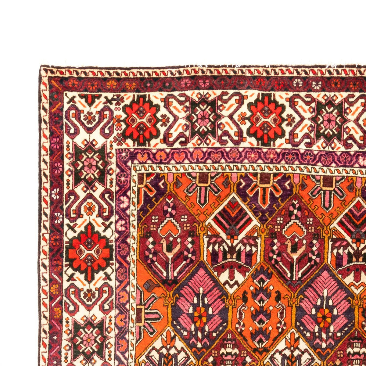 Bakhtiari Tapijt 203x310cm - Perzisch tapijt