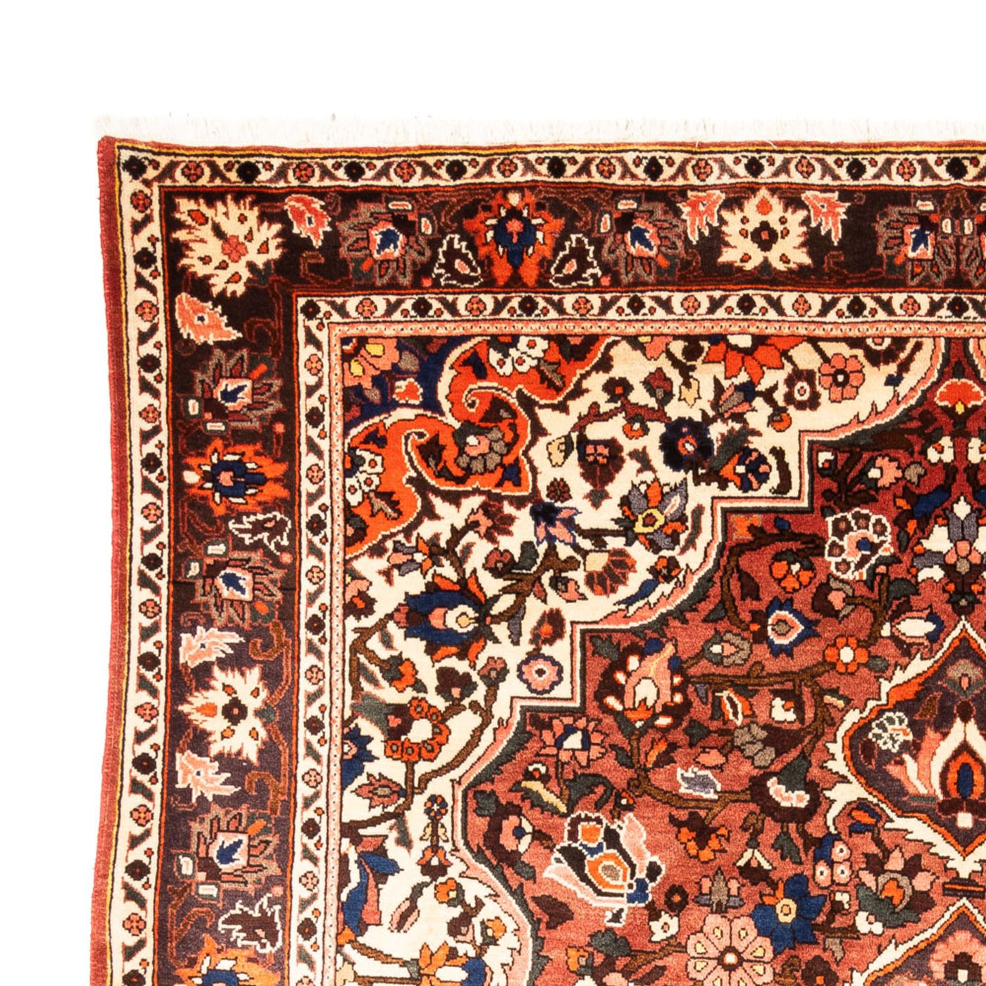 Bakhtiari Tapijt 305x217cm - Perzisch tapijt