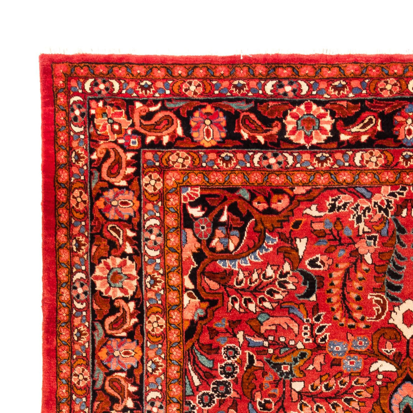 Lilian Tapijt 340x227cm - Perzisch tapijt
