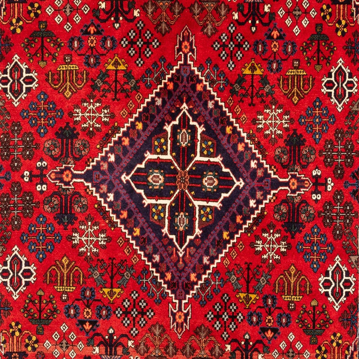 Gabbeh tapijt - Perzisch - 320 x 216 cm - veelkleurig