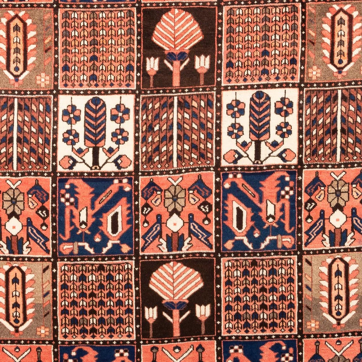 Perzisch Tapijt - Nomadisch - 304 x 198 cm - veelkleurig