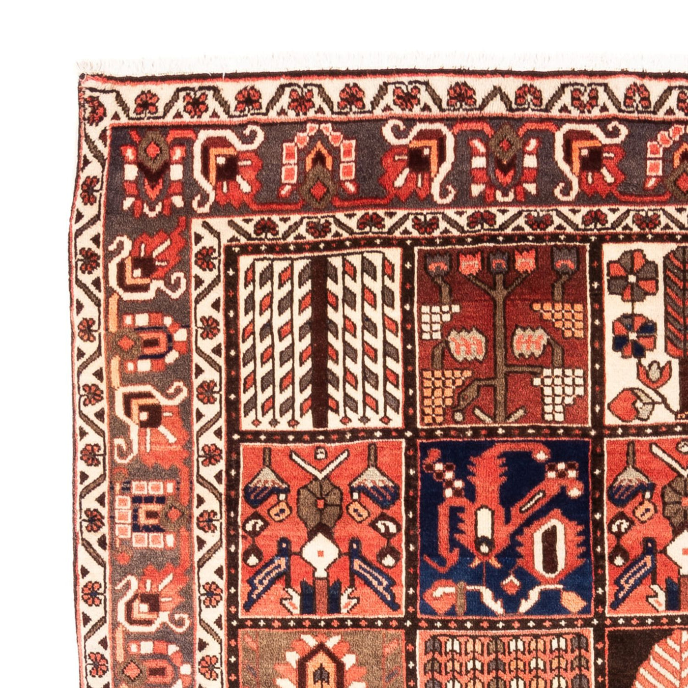 Bakhtiari Tapijt 304x198cm - Perzisch tapijt