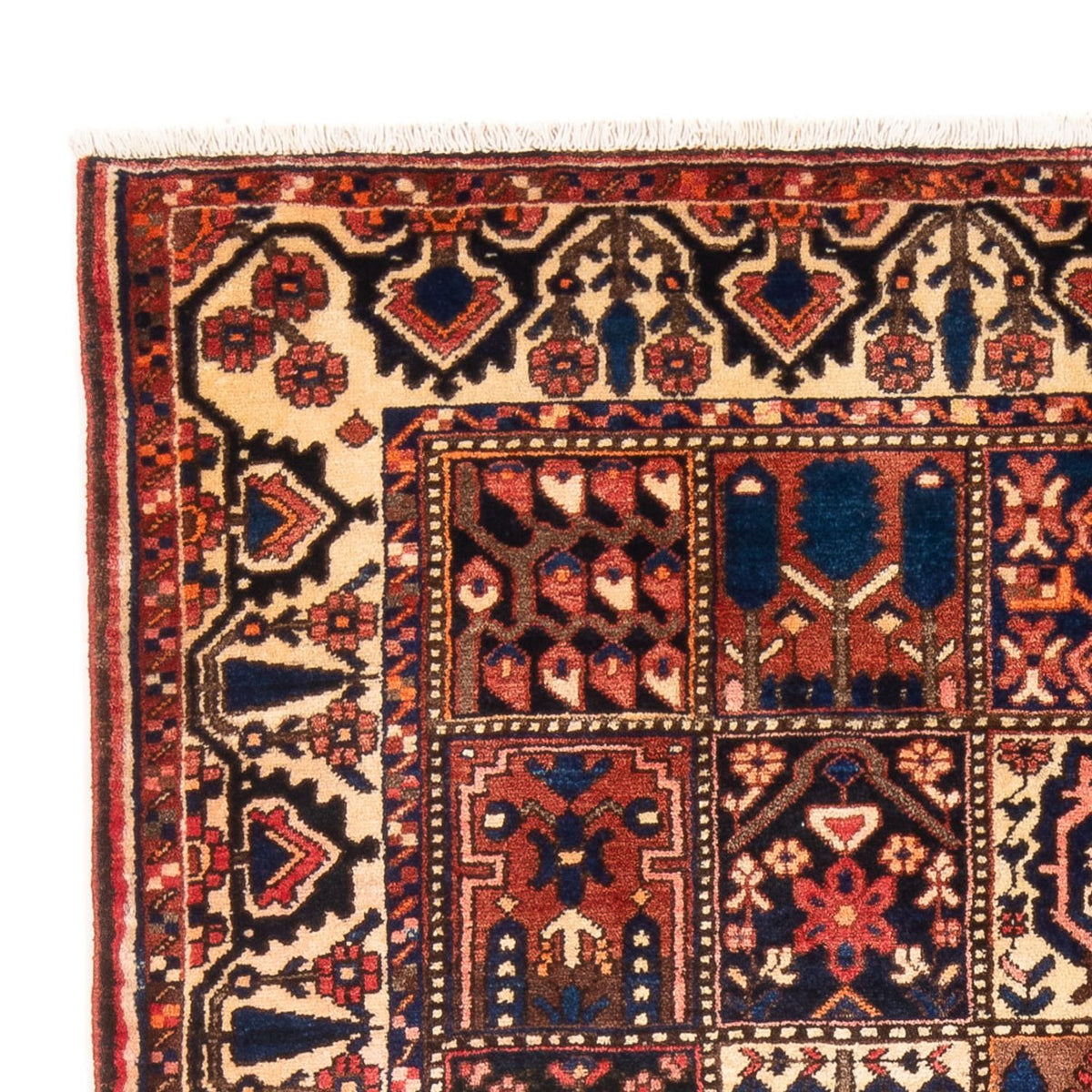 Bakhtiari Tapijt 147x210cm - Perzisch tapijt