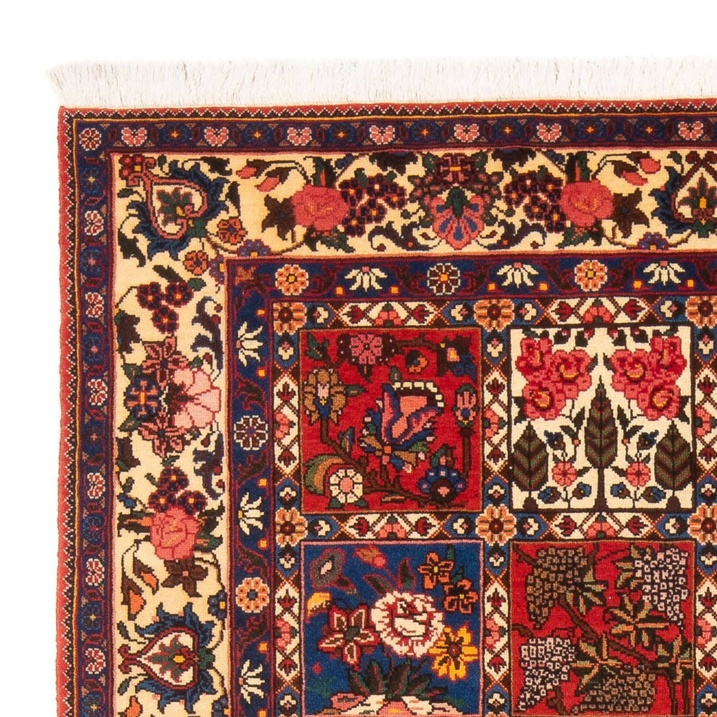 Bakhtiari Tapijt 205x138cm - Perzisch tapijt