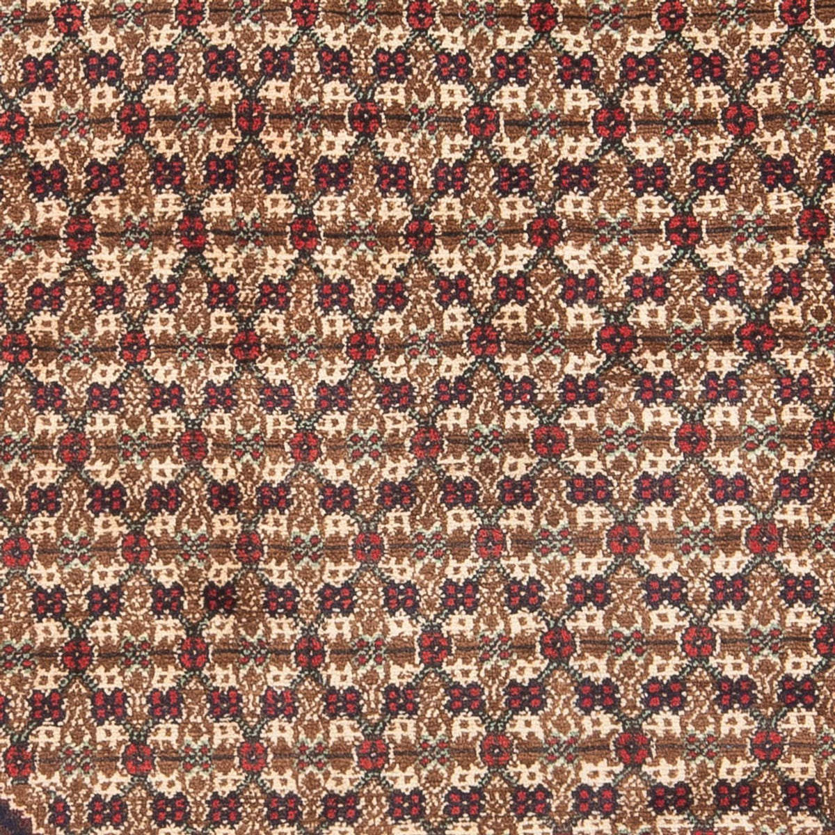 Perzisch Tapijt - Nomadisch - Koninklijke - 197 x 127 cm - crème