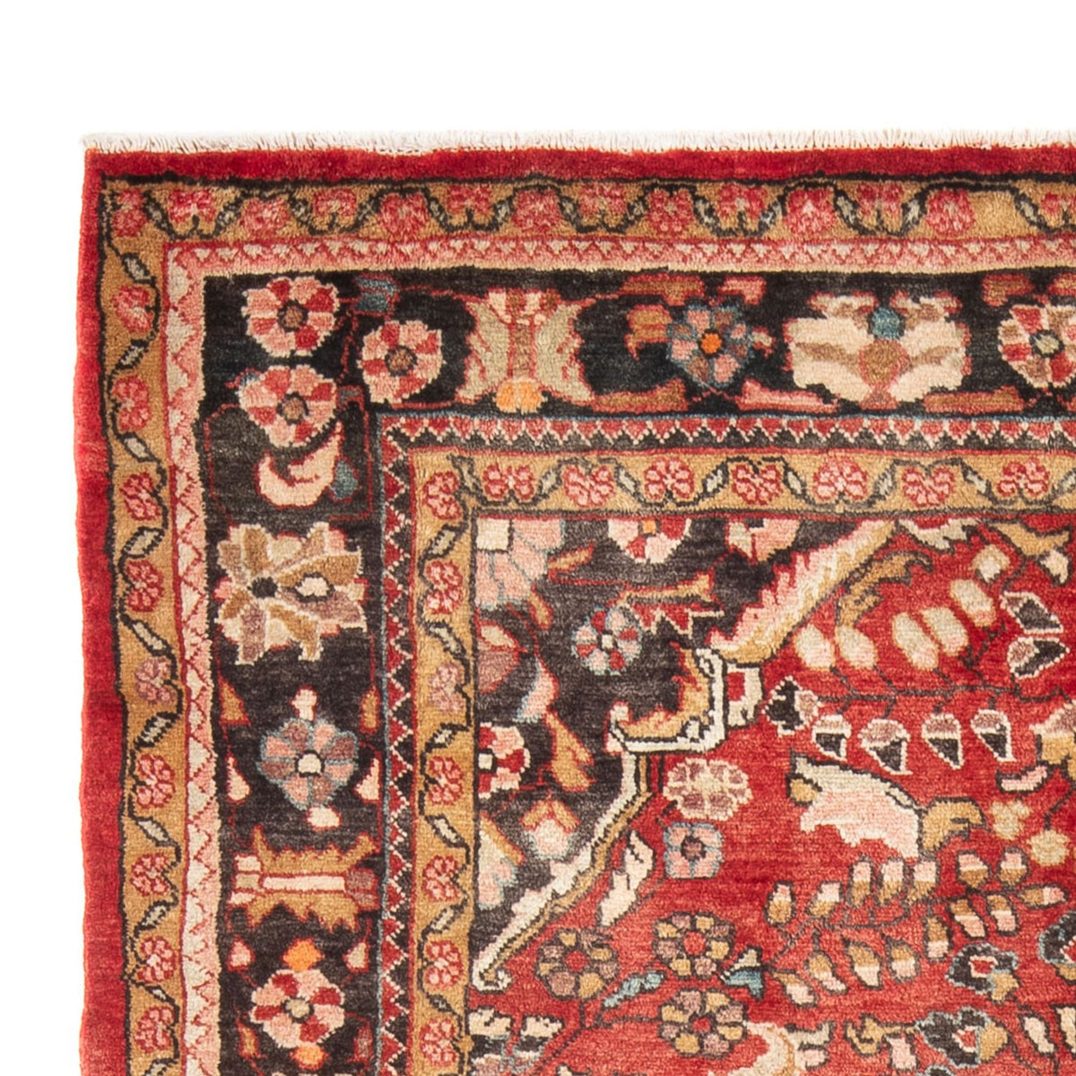 Hamadan Tapijt 165x226cm - Perzisch tapijt