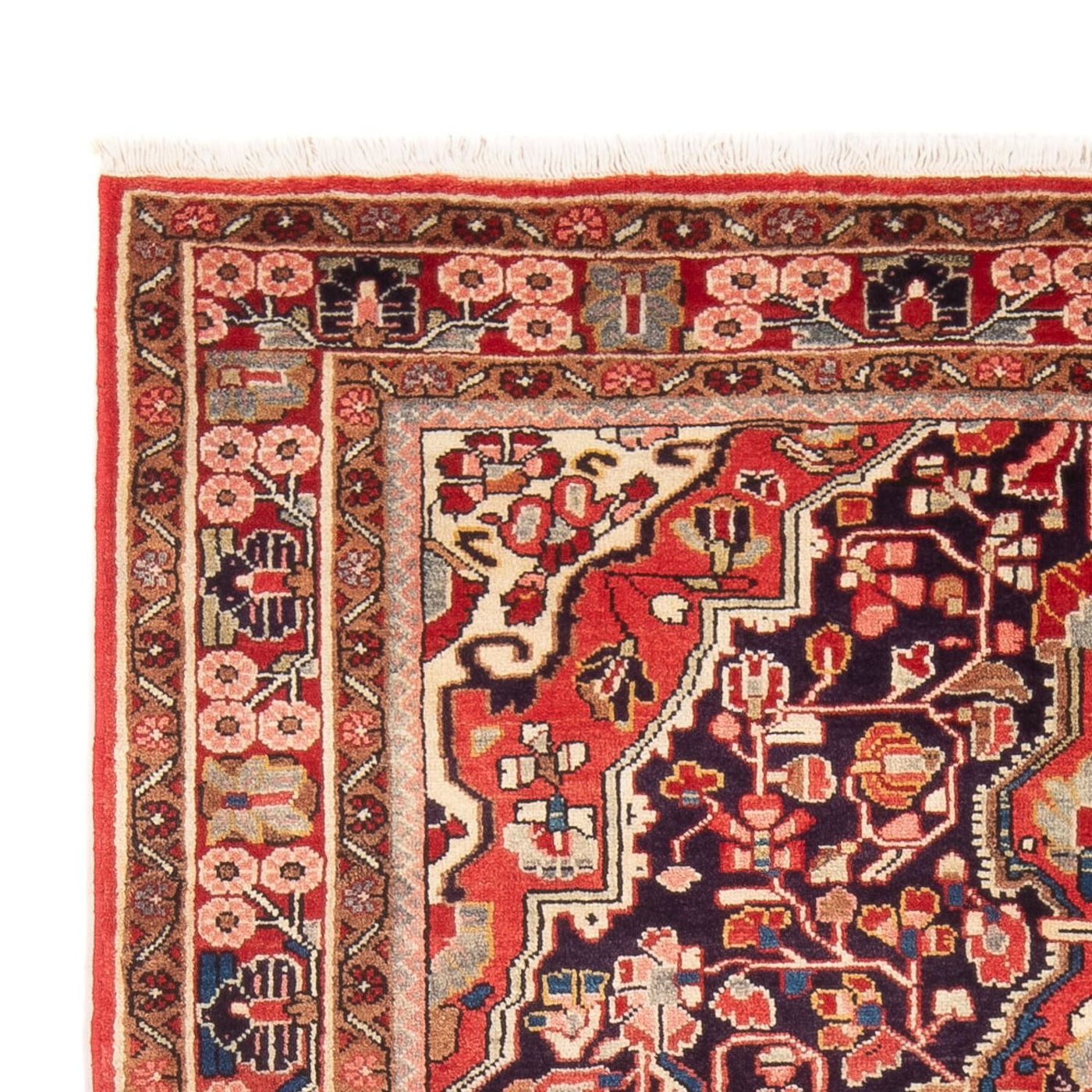 Kolyai Tapijt 210x132cm - Perzisch tapijt